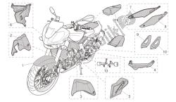 acc. - partes especiais do corpo