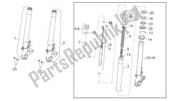 forcella anteriore