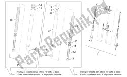 forcella anteriore ii