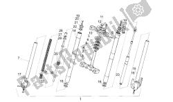 forcella anteriore im a