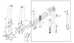 forcella anteriore ii