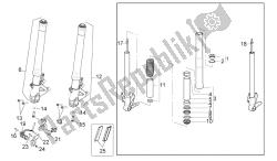 forcella anteriore ii