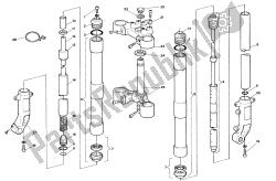 forcella anteriore