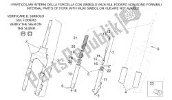 forcella anteriore