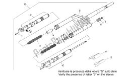 forcella anteriore ii