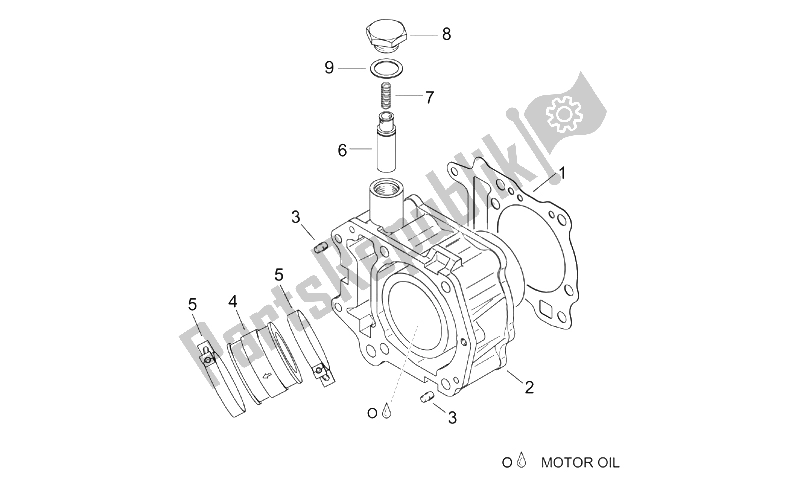 All parts for the Cylinder of the Aprilia Leonardo 125 150 ST 2001