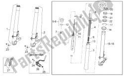 forcella anteriore