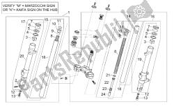 forcella anteriore ii
