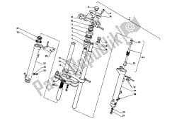 forcella anteriore