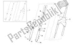 forcella anteriore