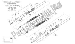 forcella anteriore ii