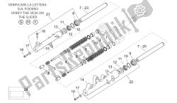 forcella anteriore ii