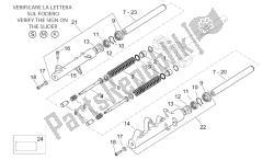 forcella anteriore ii