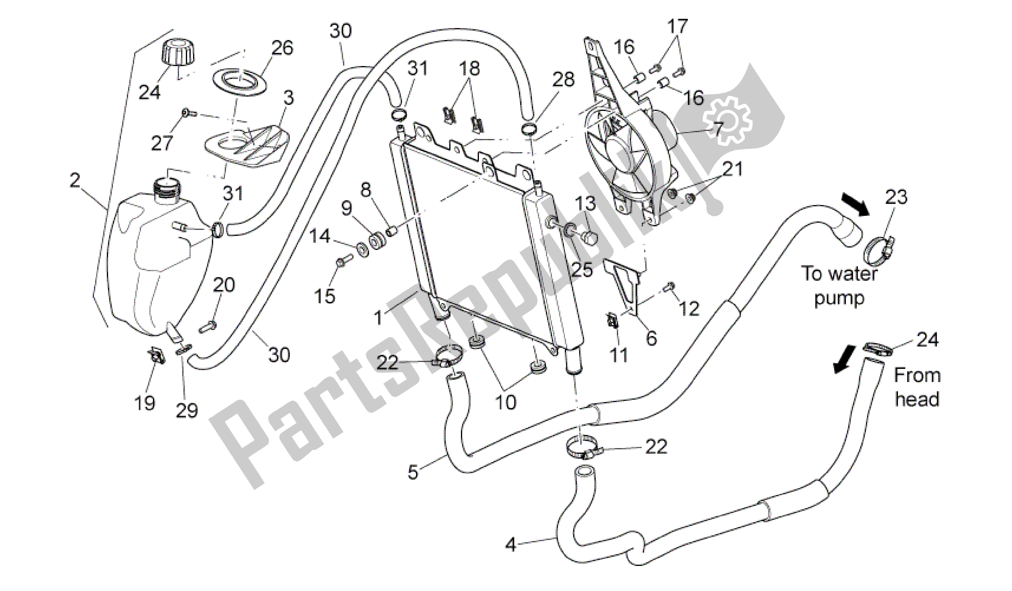 All parts for the Water Cooler of the Aprilia Scarabeo 492 2006 - 2008
