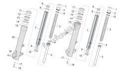 forcella anteriore ii