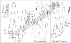 forcella anteriore ii