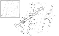 forcella anteriore