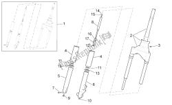 forcella anteriore