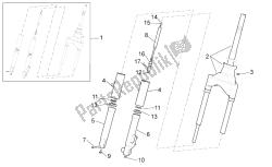 forcella anteriore