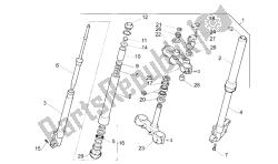 forcella anteriore n / p