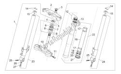 forcella anteriore