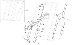 forcella anteriore