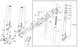 forcella anteriore