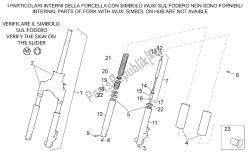 forcella anteriore