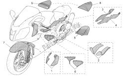 acc. - partes especiales del cuerpo