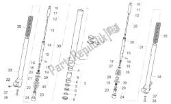 forcella anteriore ii