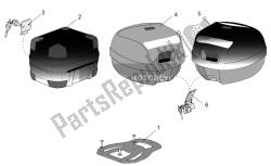 acc.-partes del cuerpo especiales