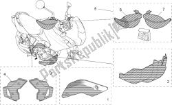 acc. - partes especiales del cuerpo