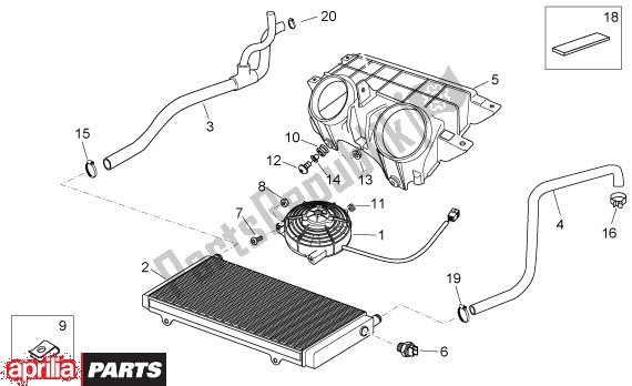 All parts for the Radiator of the Aprilia Atlantic 125-250 EU3 31 2006