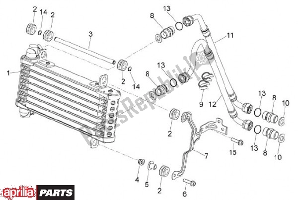 Toutes les pièces pour le Radiator Olie du Aprilia Dorsoduro 69 1200 2010