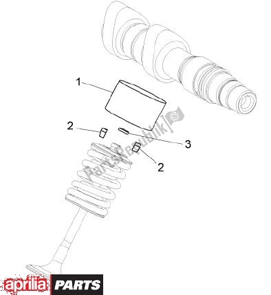 All parts for the Shims of the Aprilia Dorsoduro 69 1200 2010