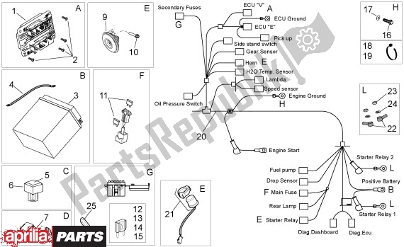 Wszystkie części do Elektrische Installatie Ii Aprilia Dorsoduro 40 750 2008 - 2011