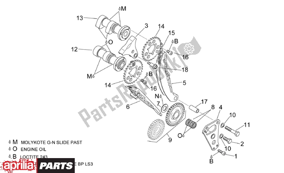 Alle onderdelen voor de Front Cylinder Timing System van de Aprilia ETV Capo Nord-rally 17 1000 2001 - 2003