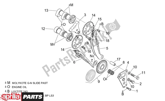 All parts for the Front Cylinder Timing System of the Aprilia ETV Capo Nord ABS 394 1000 2004 - 2005