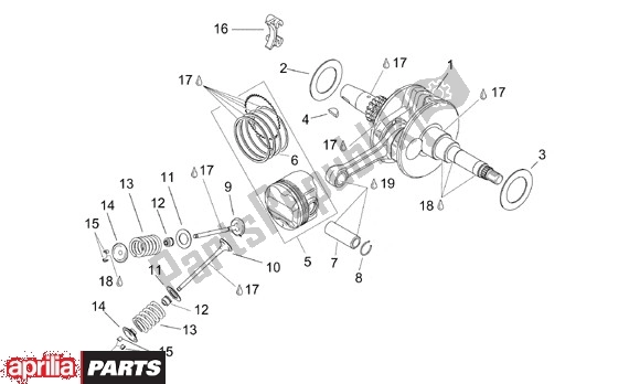 All parts for the Crankshaft of the Aprilia Leonardo 125-150 650 1996 - 1998
