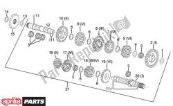 6 standen transmissie