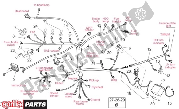 Alle Teile für das Kabelbaum des Aprilia Pegaso Strada-factory-trail 18 660 2005 - 2009