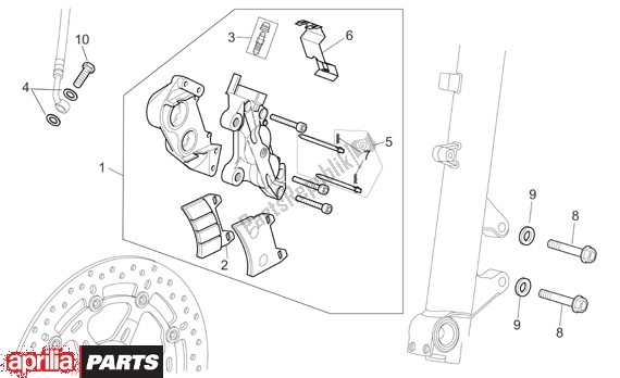 Toutes les pièces pour le Voorremklauw Strada du Aprilia Pegaso Strada-factory-trail 18 660 2005 - 2009