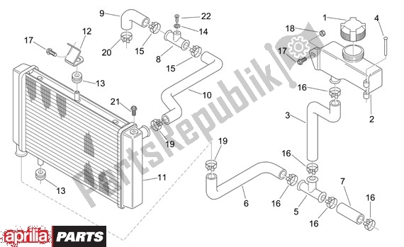 All parts for the Radiator of the Aprilia RS 21 125 2006