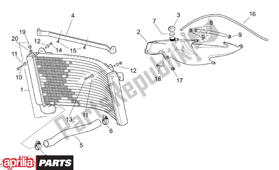 Alle Teile für das Water Cooler des Aprilia RS 381 250 1998 - 2001