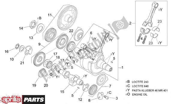 Alle onderdelen voor de Crankshaft I van de Aprilia RSV Mille R Factory Dream 397 1000 2004 - 2006