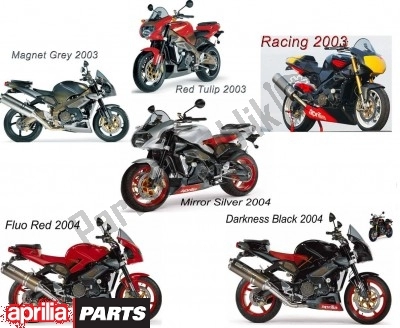 Tutte le parti per il Accessoires Technische Accessoires del Aprilia RSV Tuono R 395 1000 2002 - 2005