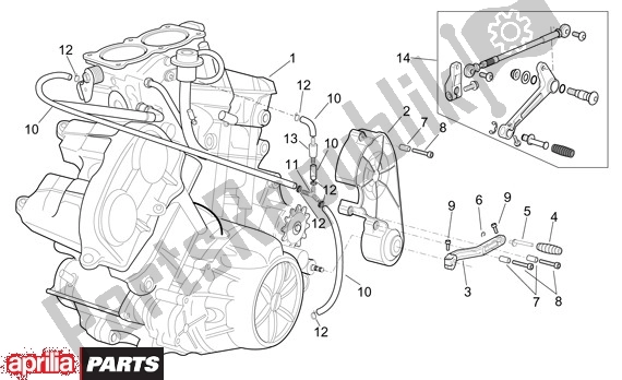 Alle onderdelen voor de Motor van de Aprilia RSV Tuono R 395 1000 2002 - 2005