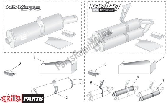 Toutes les pièces pour le Tuning Motor du Aprilia RSV Tuono R 395 1000 2002 - 2005