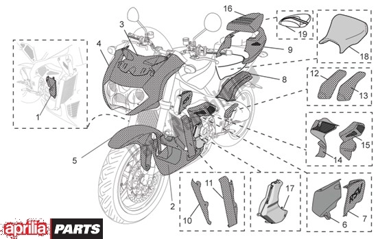 Alle onderdelen voor de Verkledingsdelen van de Aprilia RSV Tuono R 395 1000 2002 - 2005