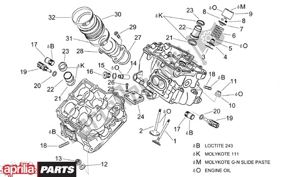 Alle onderdelen voor de Cilinderkop Ii van de Aprilia RSV Mille SP 391 1000 1999 - 2000